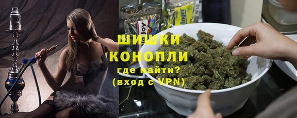 мдпв Вязьма